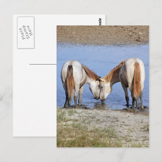 HOREN IN DE LOVE BRIEFKAART (Voorkant / Achterkant)