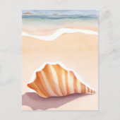 Horen Schelp | Oceaan Zeeschelp Kuststrand Briefkaart (Voorkant)