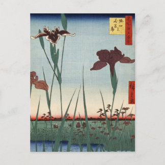 Horikiri Iris Garden (堀 切 の 菖 蒲) Briefkaart