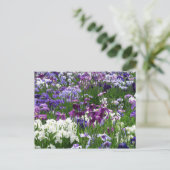 Horikiri Iris Garden: Tokio, Japan Briefkaart (Staand voorkant)