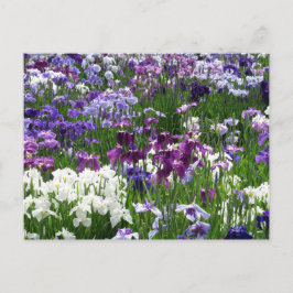 Horikiri Iris Garden: Tokio, Japan Briefkaart