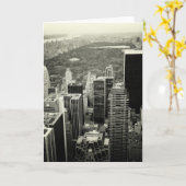 Horizon NYC en Central Park Kaart (Gele Bloem)