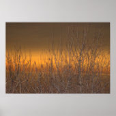 Horizon over het Poster Lake Erie (Voorkant)