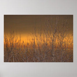 Horizon over het Poster Lake Erie