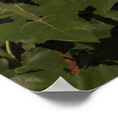 Horizon Poster (Hoek)