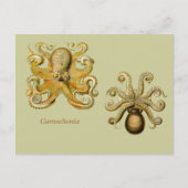 Horizontaal Briefkaart Gamochonia (Voorkant)