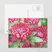 Horizontaal Briefkaart, geverfd Chrysanthema Briefkaart (Voorkant / Achterkant)