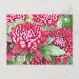 Horizontaal Briefkaart, geverfd Chrysanthema Briefkaart