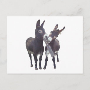 Horizontaal Briefkaart "Missy's Donkeys"