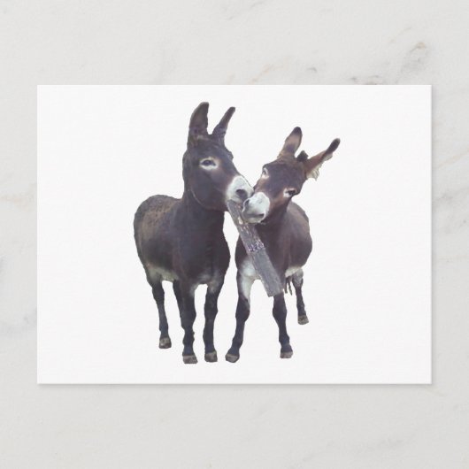 Horizontaal Briefkaart "Missy's Donkeys" (Voorkant)