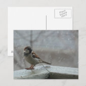 Horizontaal Briefkaart voor huizenreservering (Voorkant / Achterkant)
