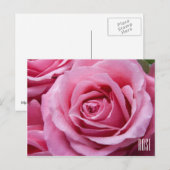 Horizontaal roze rozen Briefkaart (Voorkant / Achterkant)