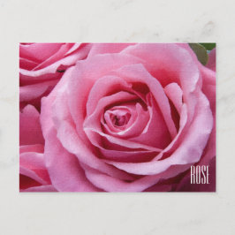 Horizontaal roze rozen Briefkaart
