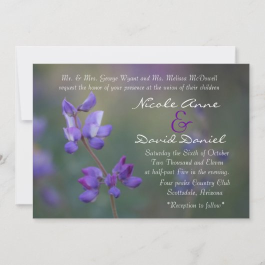 horizontaal veld Lupine-uitnodiging Kaart (Voorkant)