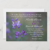 horizontaal veld van de Lupine-uitnodiging Kaart (Voorkant)