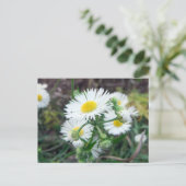 Horizontale Briefkaart Daisy Fleabane (Staand voorkant)