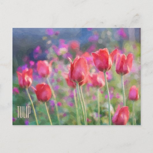 Horizontale Briefkaart Tulpen (Voorkant)