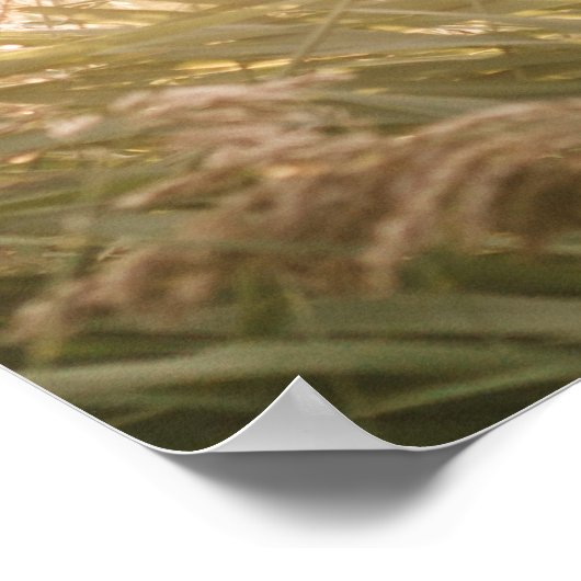 Horizontale foto Welkom op onze bruiloftsreceptie Poster (Hoek)