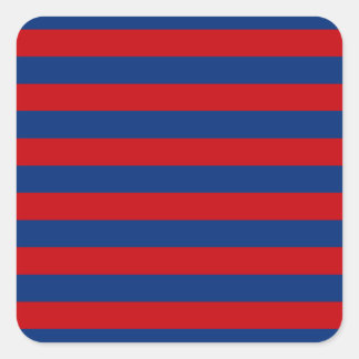 Horizontale horizontale strepen met groot neusthem vierkante sticker