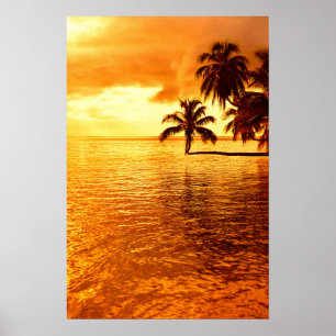 Horizontale palmboom zonsondergang poster
