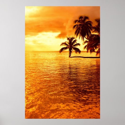 Horizontale palmboom zonsondergang poster (Voorkant)