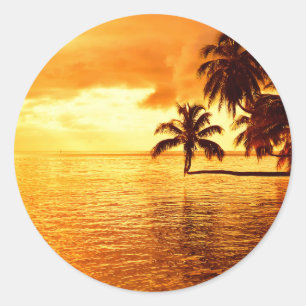 Horizontale palmboom zonsondergang ronde sticker