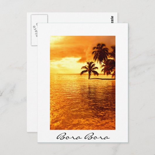 Horizontale palmboomzonsondergang, wit briefkaart (Voorkant / Achterkant)