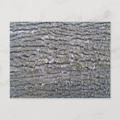 Horizontale structuur met boomschors briefkaart (Voorkant)