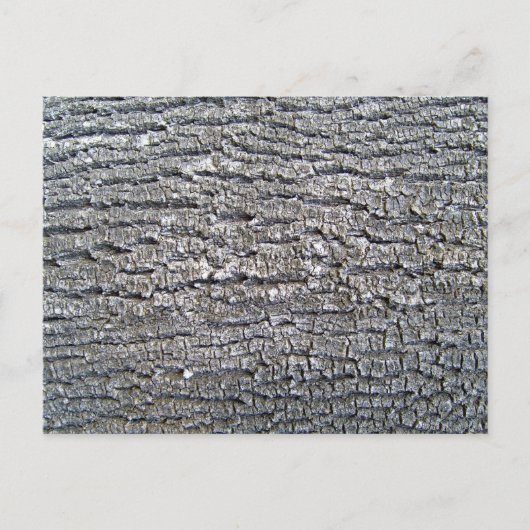 Horizontale structuur met boomschors briefkaart (Voorkant)