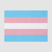 Horizontale Transgender Pride Vlag