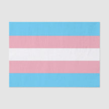 Horizontale Transgender Pridevlag