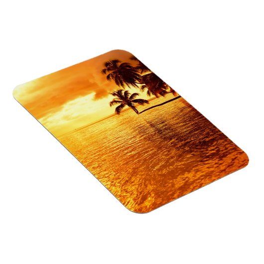 Horizontale verticale magneet van de palmboom bij  (Rechterzijde)