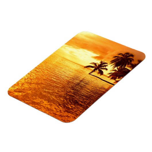 Horizontale verticale magneet van de palmboom bij  (Linkerzijde)