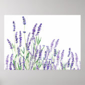 horizontale waterverf paarse lavender poster (Voorkant)