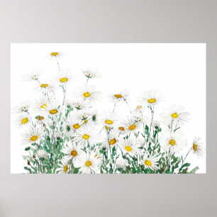 horizontale waterverf witte margaret daisy poster