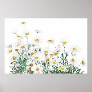 horizontale waterverf witte margaret daisy poster
