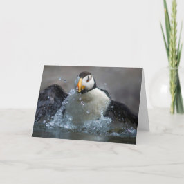 Horloge Puffin Bathing - Fratercula corniculata Kaart