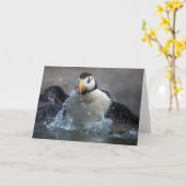 Horloge Puffin Bathing - Fratercula corniculata Kaart (Gele Bloem)