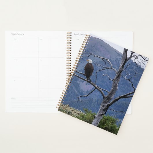Horlogeplanner Planner (Display)