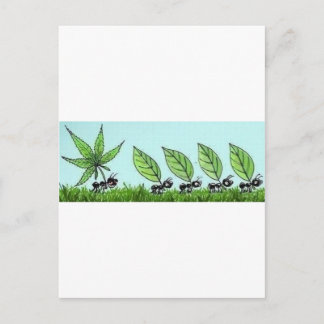 hormiga colocada briefkaart