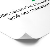 Hormonale controle van de puberteit bij jongens en poster (Hoek)