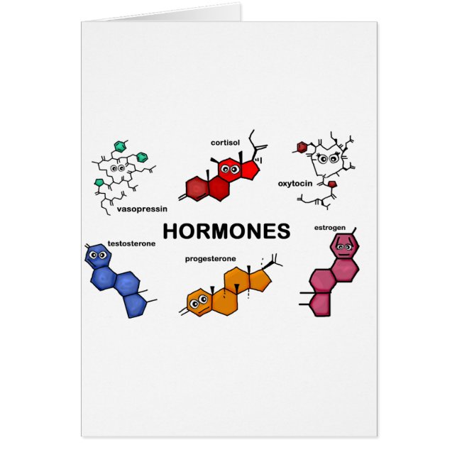 Hormonen (Voorkant)