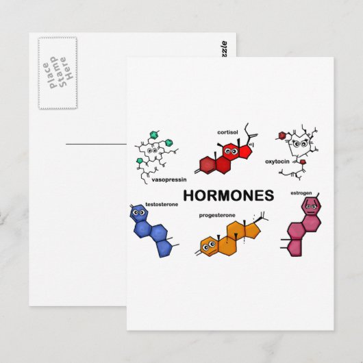 Hormonen Briefkaart (Voorkant / Achterkant)