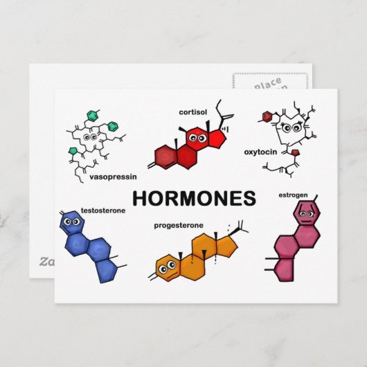Hormonen Briefkaart (Voorkant / Achterkant)