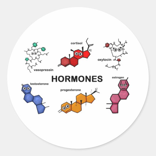 Hormonen Ronde Sticker (Voorkant)