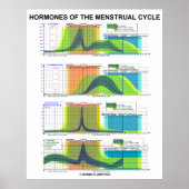 Hormonen van de menstruatiecyclus poster (Voorkant)