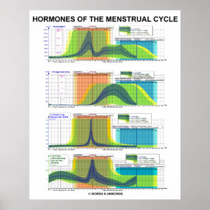 Hormonen van de menstruatiecyclus poster