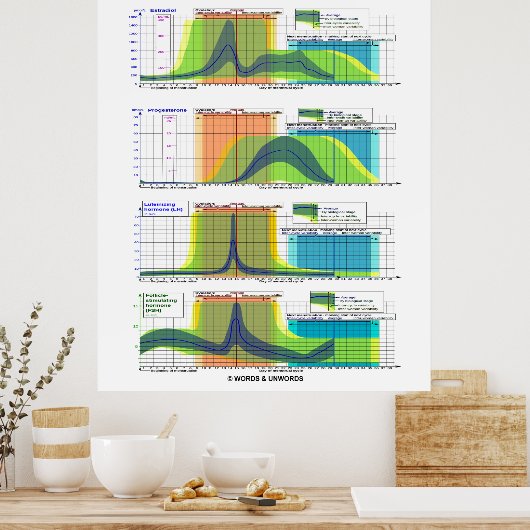 Hormonen van de menstruatiecyclus poster (Keuken)