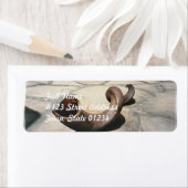 horn-1.jpg etiket (Insitu)