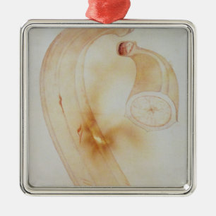 Horn Plantain Metalen Ornament